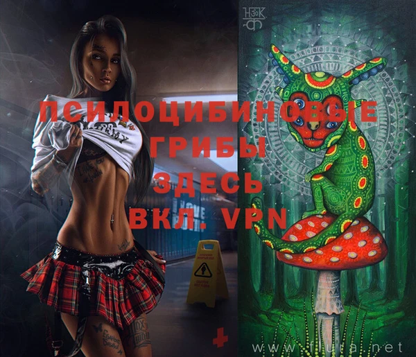 бошки Михайлов