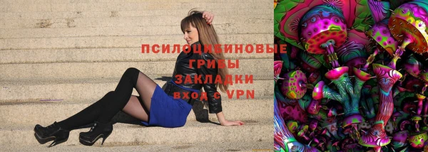 бошки Михайлов