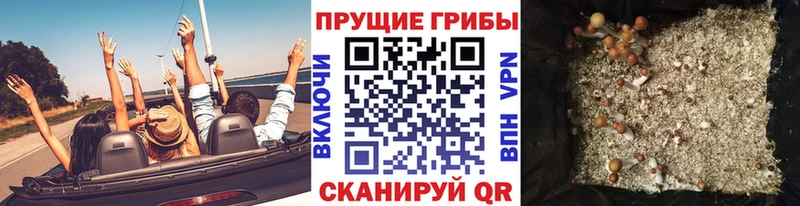 Галлюциногенные грибы GOLDEN TEACHER Салават