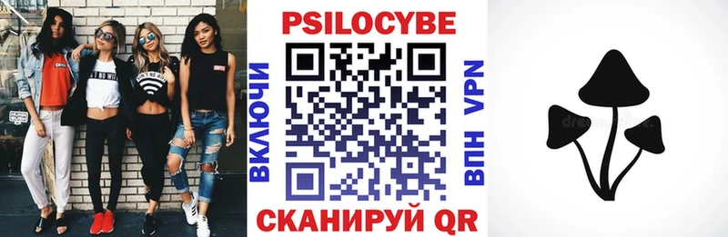 Псилоцибиновые грибы мицелий  Купить где  Салават 